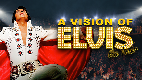 A VISION OF ELVIS